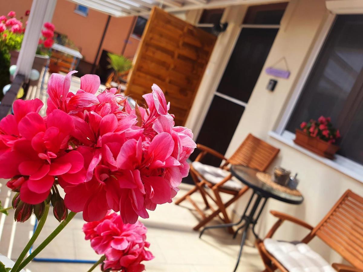 Lavendel Apartments เฮวิซ ภายนอก รูปภาพ
