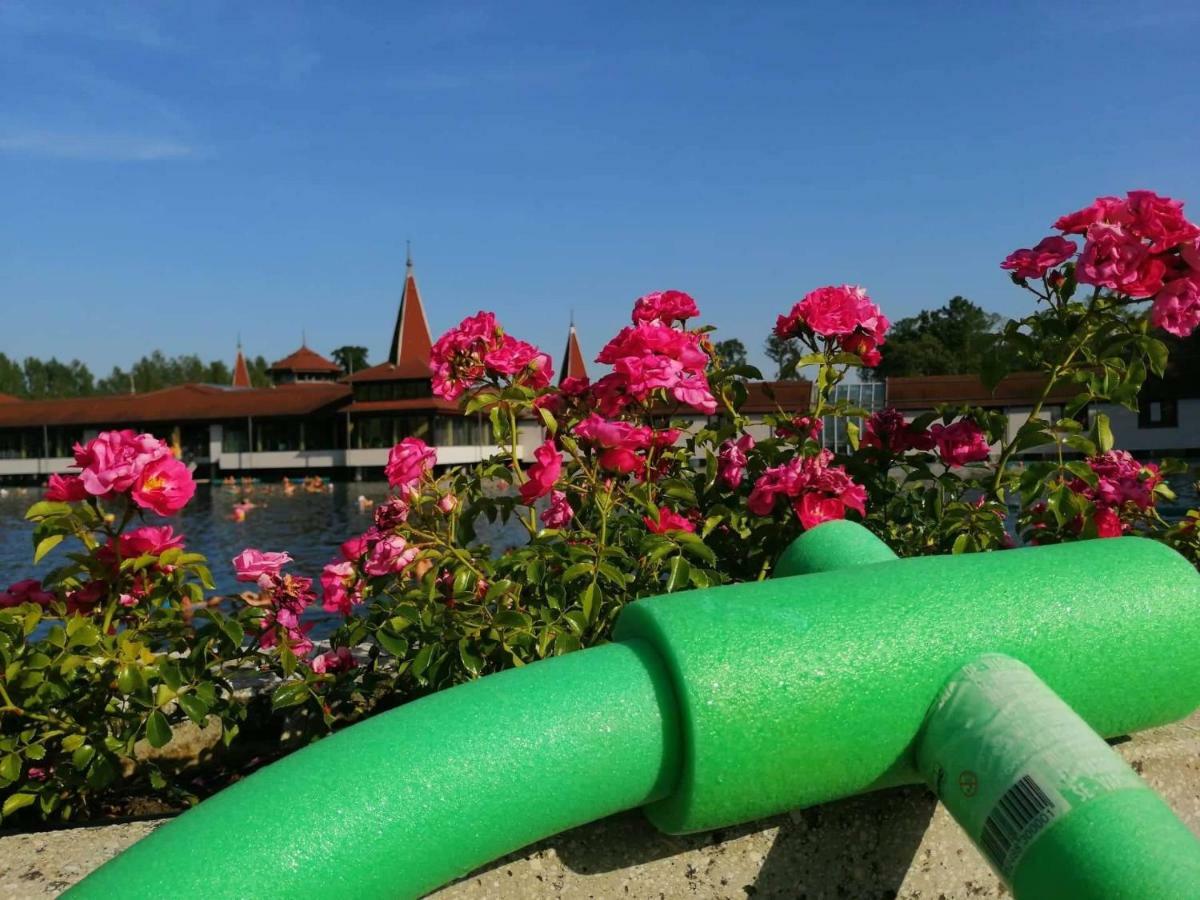 Lavendel Apartments เฮวิซ ภายนอก รูปภาพ